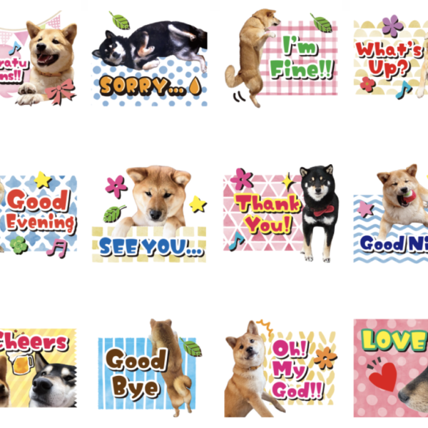 LINE STICKERS3-1