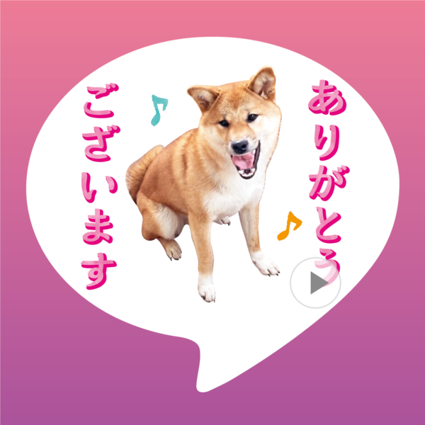 LINE STICKERS4